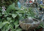 Henri - Wasserspiel mit Bronze Frosch - leise