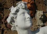 Bachus