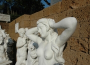 Venus AKT