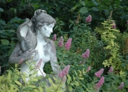 Venus mit Muschel