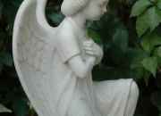 Engel -