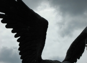 Bronze - Adler