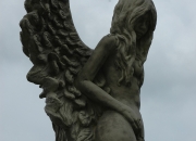Engel - Shekinah