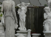 Venus