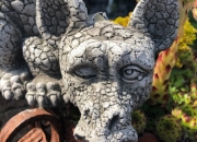 Drachenkind - Drachenbaby - Ulrich garten Schwäbisch Gmünd
