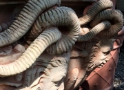 Detailansicht - original italienischer - Terracotta Pflanztopf - Medusa -