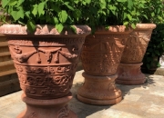 impruneta-Terracotta-Topf-Pflanztopf-ulrich-garten-Schwaebisch-Gmuend-