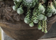 Henri - Pflanztopf - Blumentopf - Steinguss - Blumengirlande